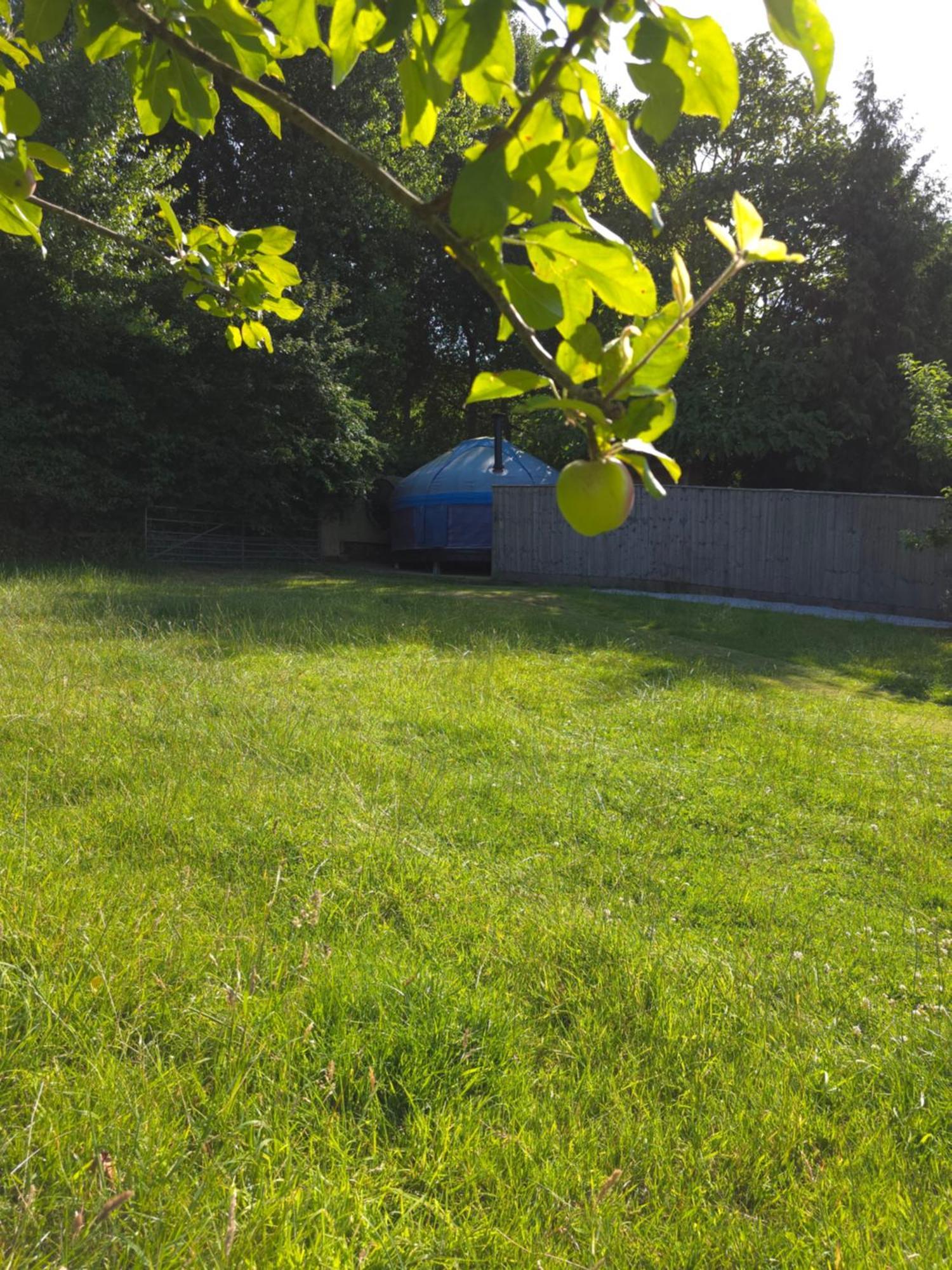 Orchard View Yurt & Hot Tub Somerset Weston-super-Mare Eksteriør bilde